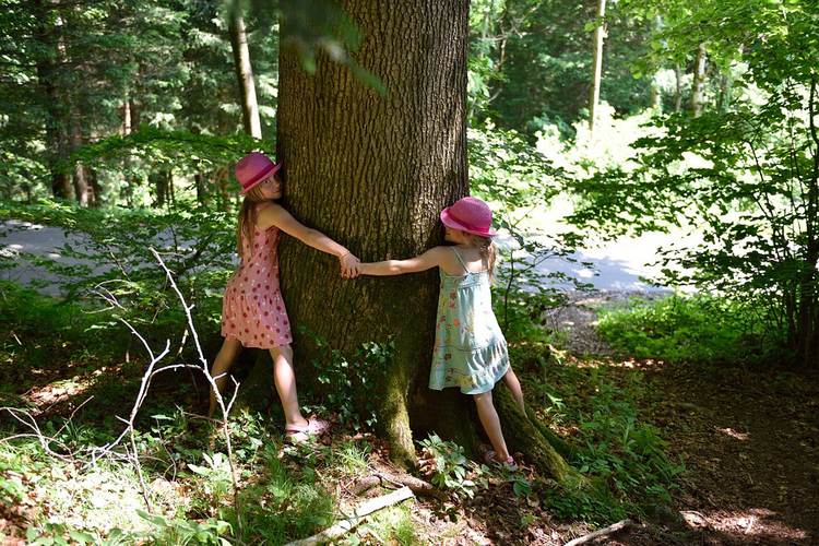 Mädchen umarmen Baum